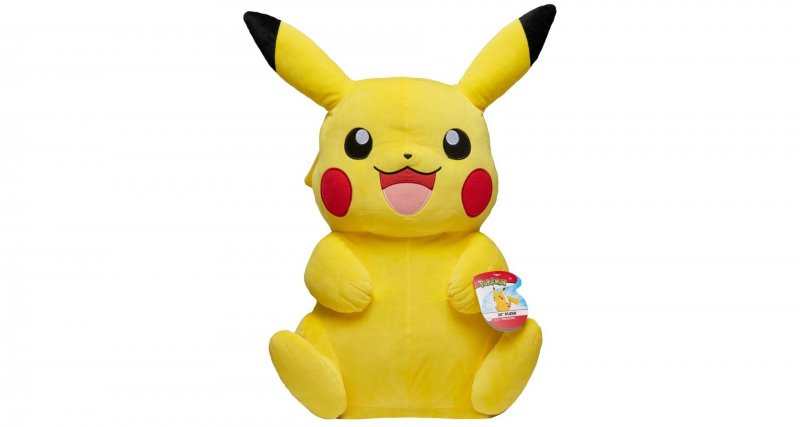 POKÉMON